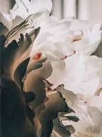 about image