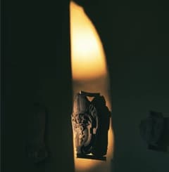 Living Exhibitions